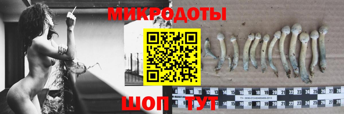 Северобайкальск  Галлюциногенные грибы MAGIC MUSHROOMS  Вход с VPN  Галлюциногенные грибы Psilocybe 